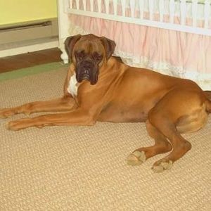 Meet your Posher, Elizabeth